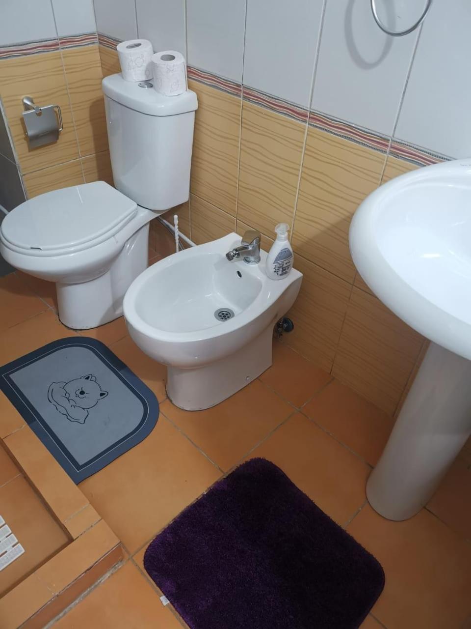 Downtown Authentic Apartment Tirana Myslym Shyri 外观 照片